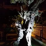 Cassiopeia 3* Alaçatı