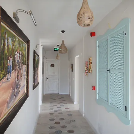 Cassiopeia アラカティ