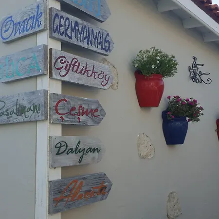 ベッド・アンド・ブレックファスト Cassiopeia アラカティ