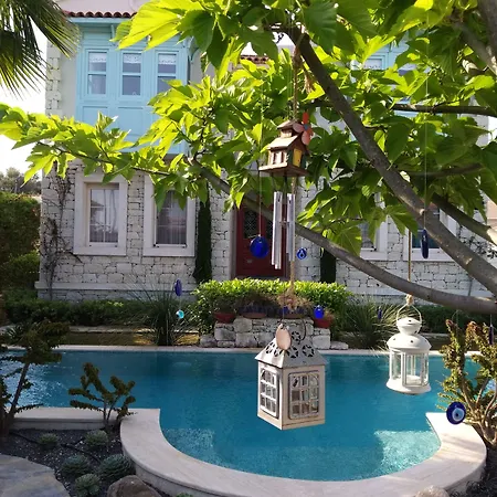 Cassiopeia 3* アラカティ