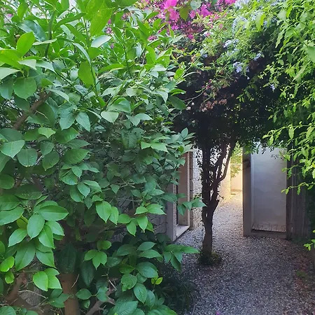 ベッド・アンド・ブレックファスト Cassiopeia 3*