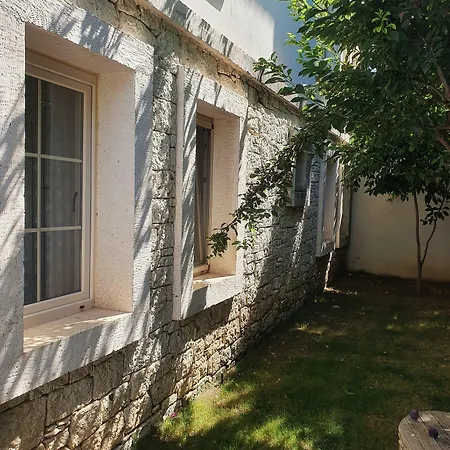 Cassiopeia アラカティ