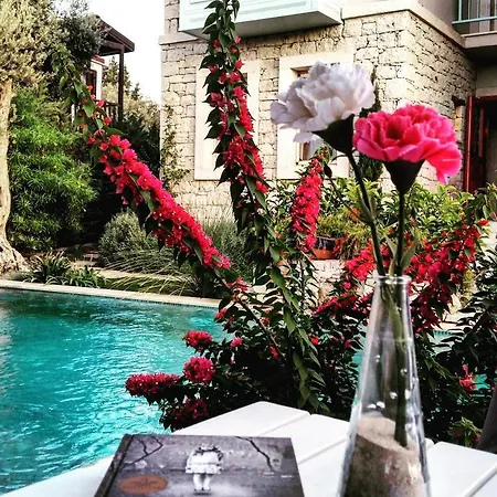 Cassiopeia 3* アラカティ