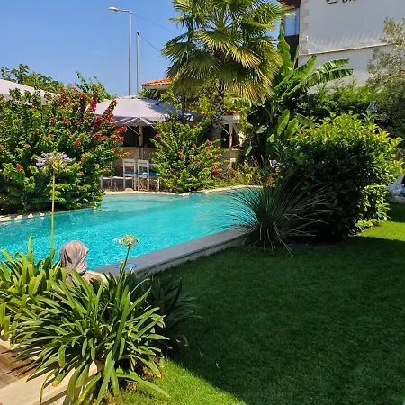 ベッド・アンド・ブレックファスト Cassiopeia 3*