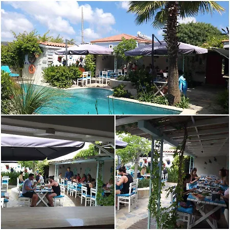 Cassiopeia アラカティ